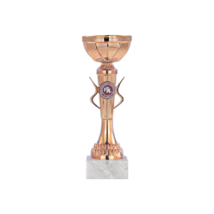 C-017 C - 23 cm